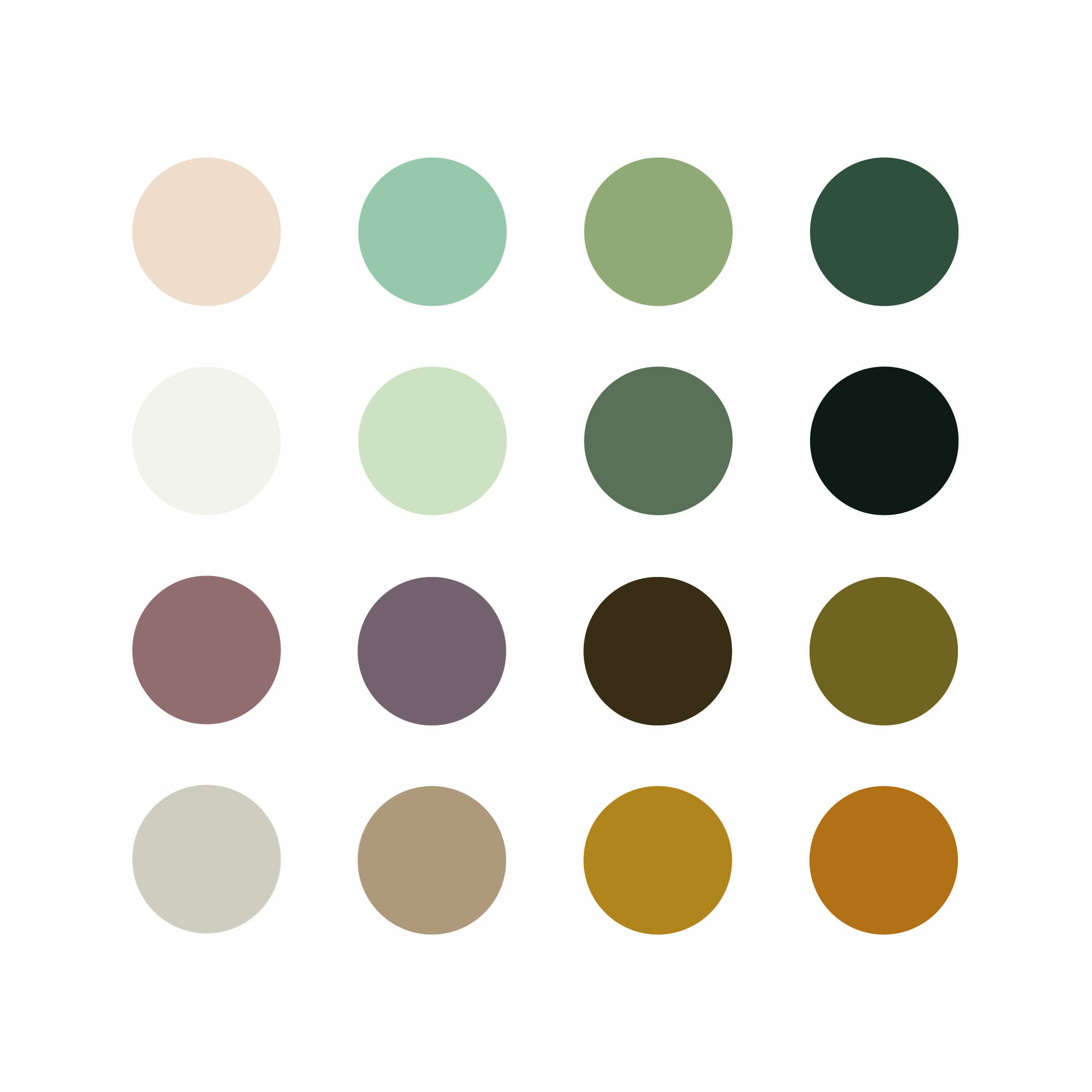 colors for the creation of the graphic charter.
