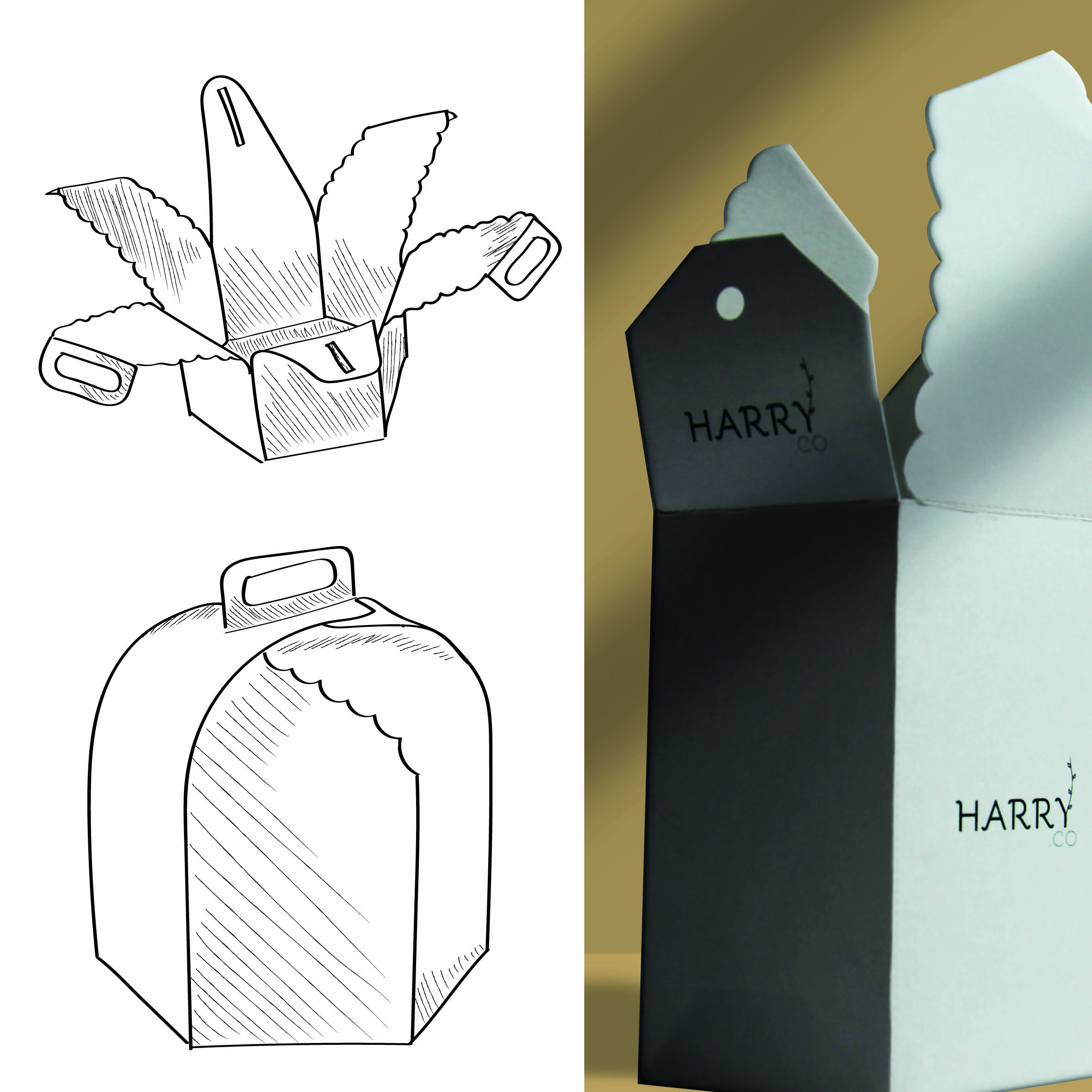 sketch and packshot of seed packaging.