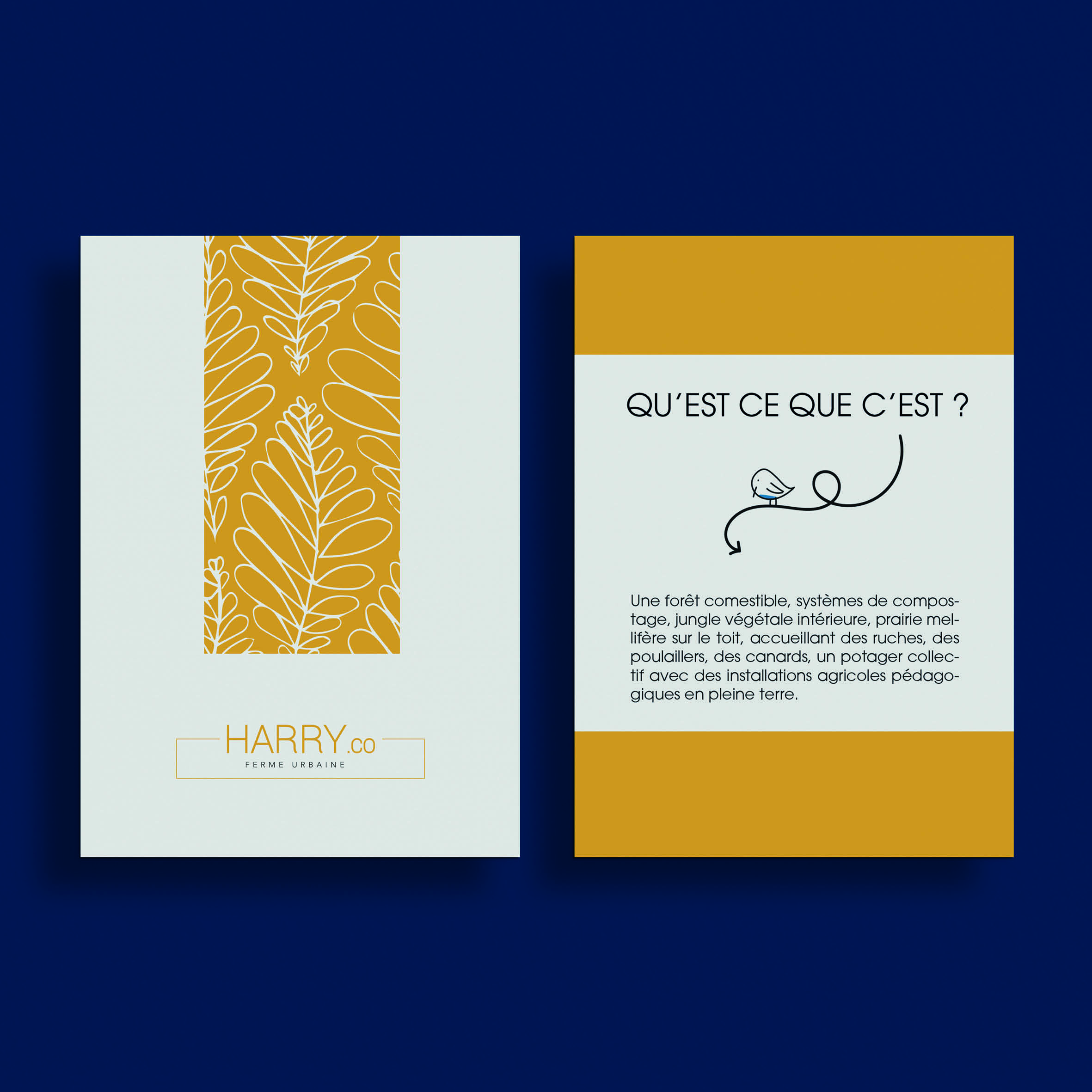 yellow flyers front and back of harry.co 